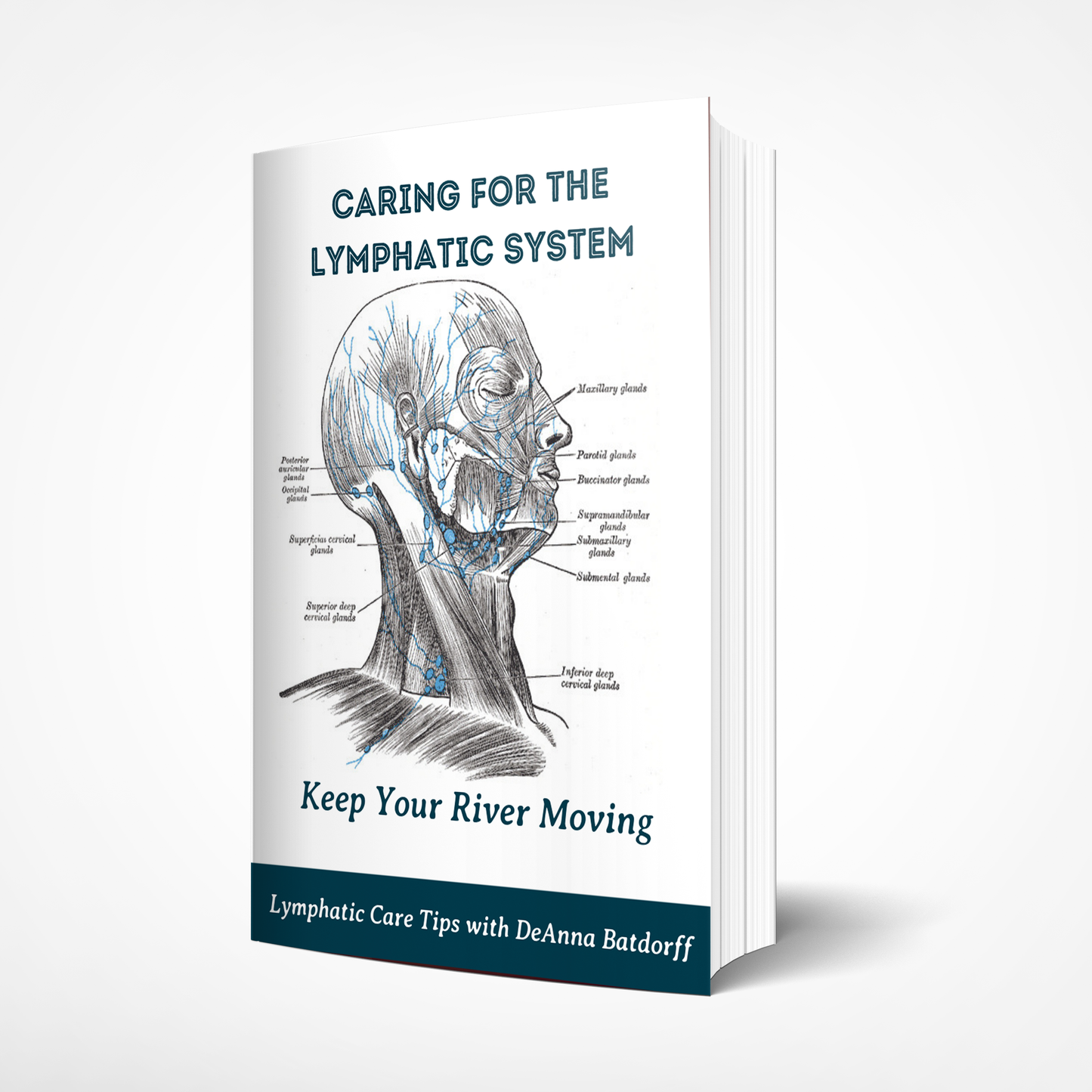 CARING FOR THE LYMPHATIC SYSTEM