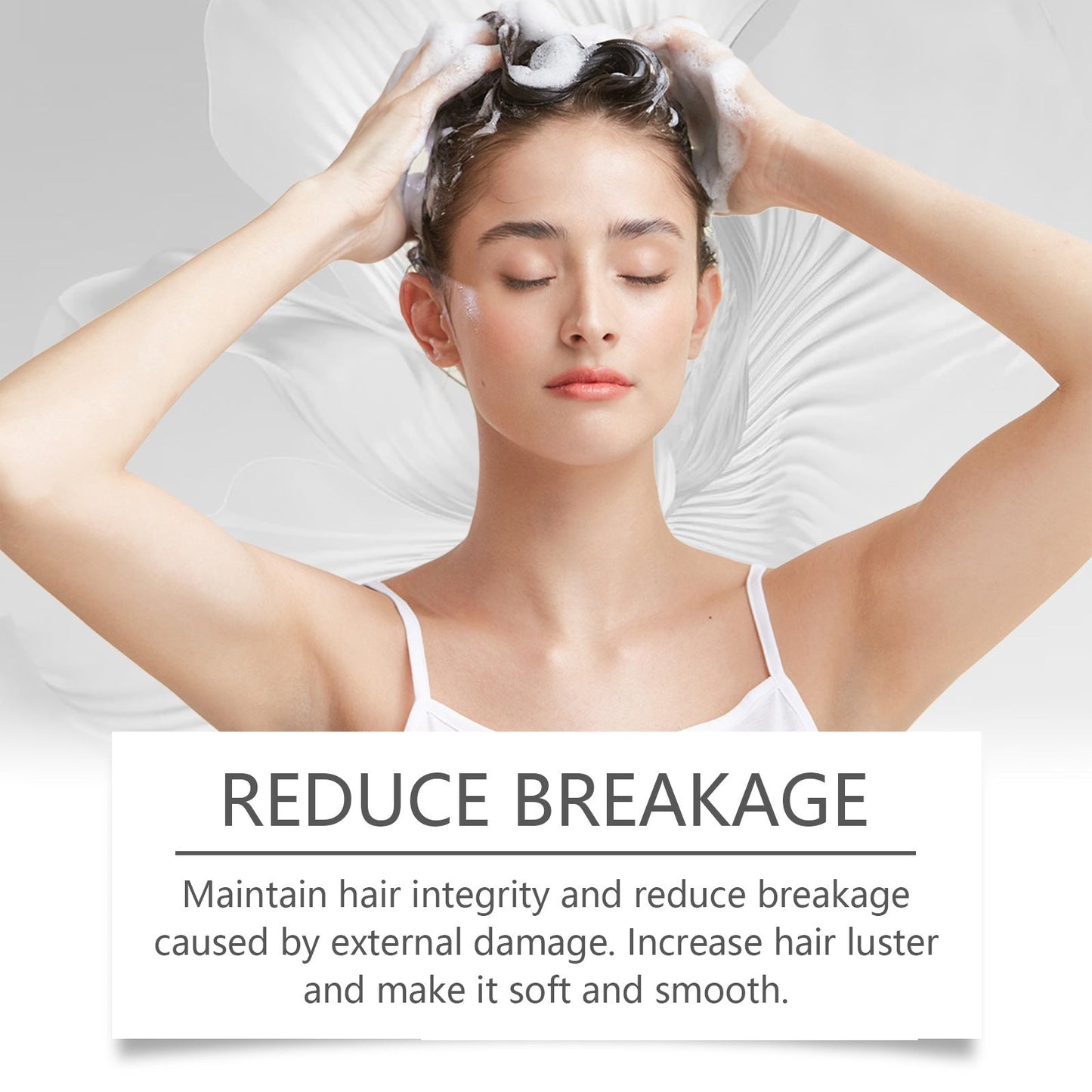 Hoegoa Chamomile Shampoo for Smooth & Shine | For Dry & Frizzy Hair